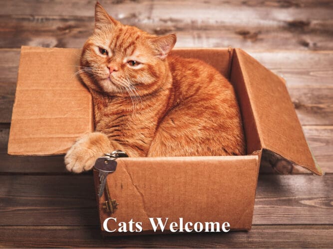 110_Cats_Welcome_v1.1